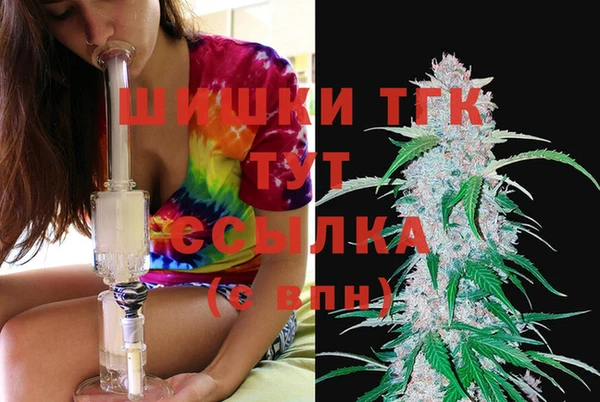 хмурый Карпинск