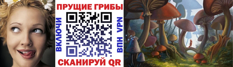 kraken tor  хочу наркоту  Ковдор  сайты даркнета телеграм  Галлюциногенные грибы ЛСД 