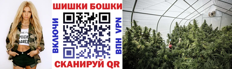 Конопля план  Ковдор 